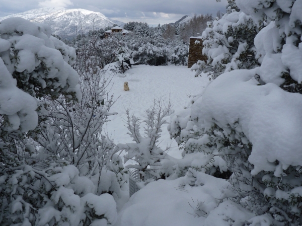 Nieve en Altos de Valdearazo 
Keywords: ALTOS DE VALDEARAZO