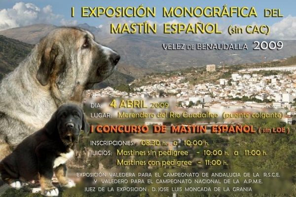 Exposicion Granada (Velez de Benaudalla) 4 abri 2009 - no falteis
Kandy y su hijo Bonbon de la Gorgoracha
Keywords: gorgoracha
