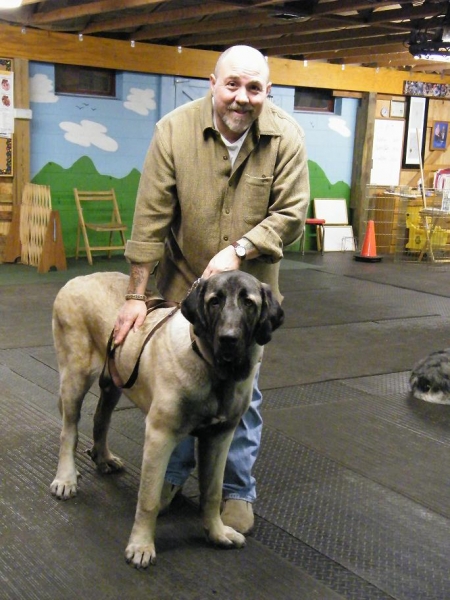 Pete and  Bobby "D" aka De Niro
De Niro is back in school. This time he is training to earn his Canine Good Citizen certificate. Here is De Niro with trainer Pete after class.
Keywords: norma pacino tatyana deniro brando