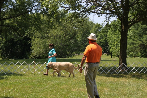 Garden State Classic-KC-USA Dog Shows  June 2-3 2012
Keywords: 2012 norma pacino tatyana de niro brando