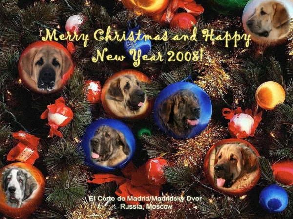 Merry Christmas 2007 and Happy New Year from Iglesias, Zhuzha, Sofie, Neron, Hessi, Hortensia, Trez!
Keywords: cortedemadrid