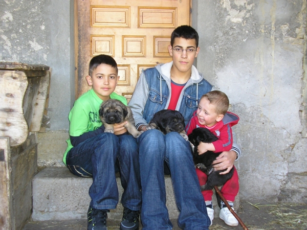 Alejandro, Jony y Joel con cachorros.
Keywords: piscardos