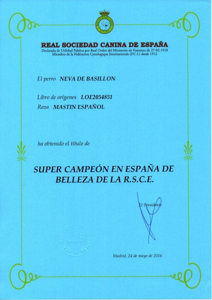 Primer Super Campeón de la raza (091) Mastin Español - Neva De Basillón
Keywords: basillon