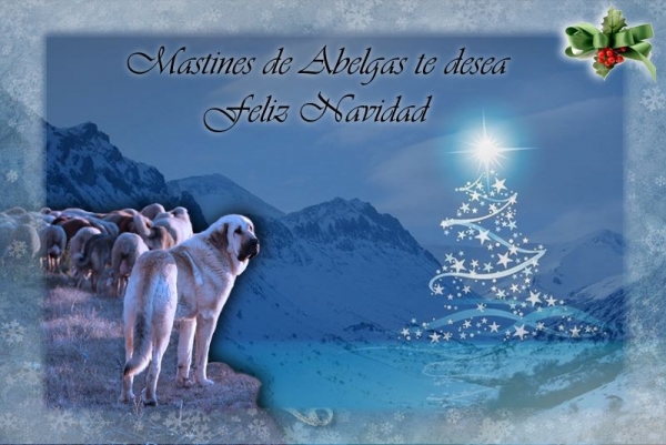Merry Christmas and Happy New Year 2013 from Abelgas, Spain
Keywords: abelgas